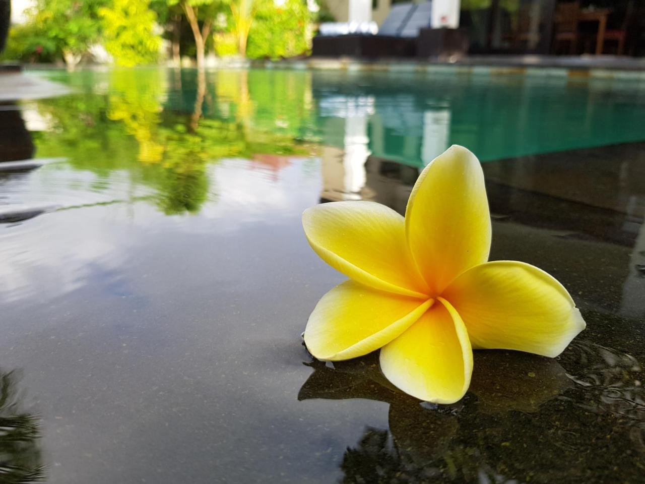 Villa Horizon Nusa Dua Exteriér fotografie